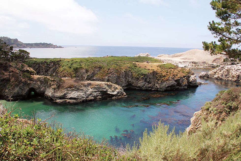 04 Point Lobos State Reserve
