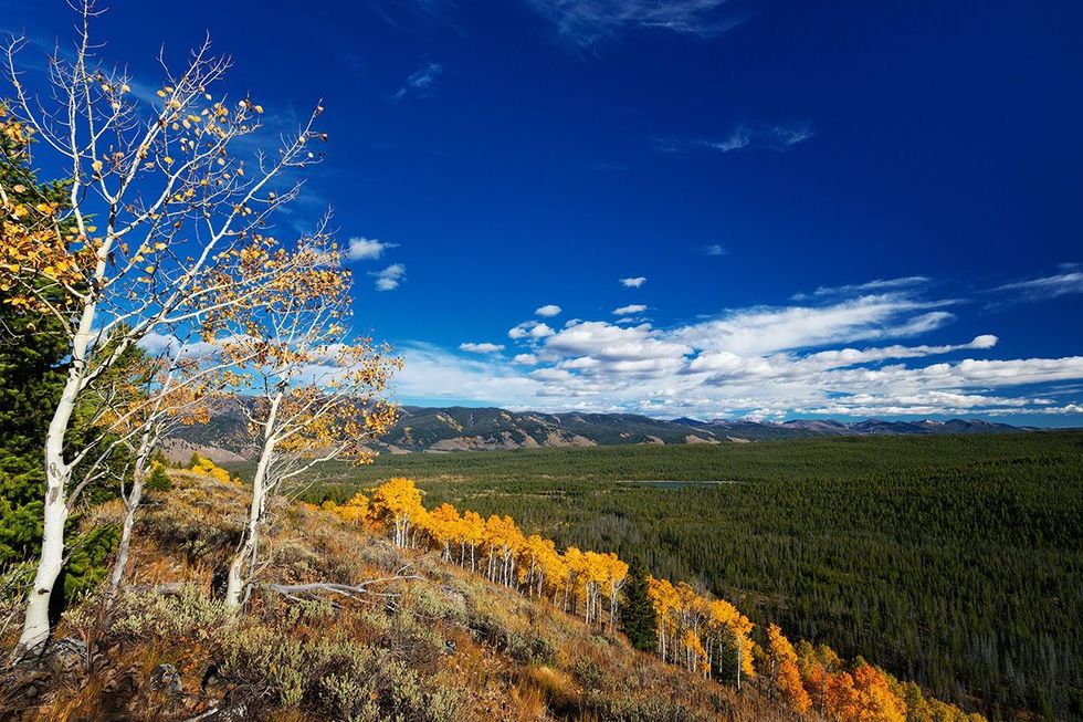6 Road Trips Perfect for Fall Colors: Salmon River Scenic Byway \u2013 Idaho