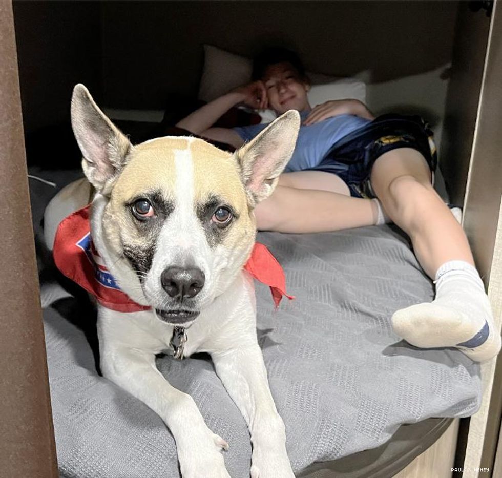 A dog and teen boy in a RV