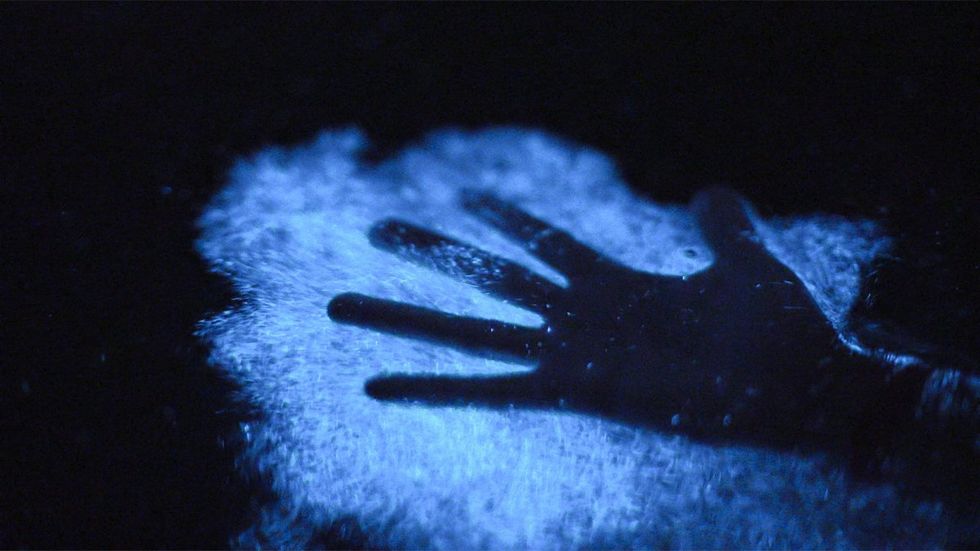 A hand in bioluminescence 
