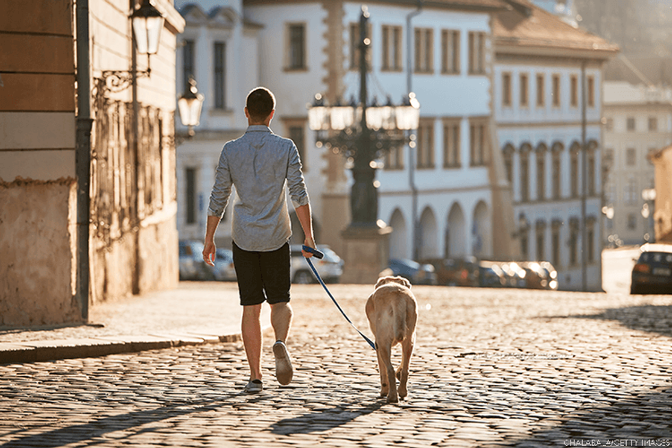 A man walks his dog through the streets of Prague