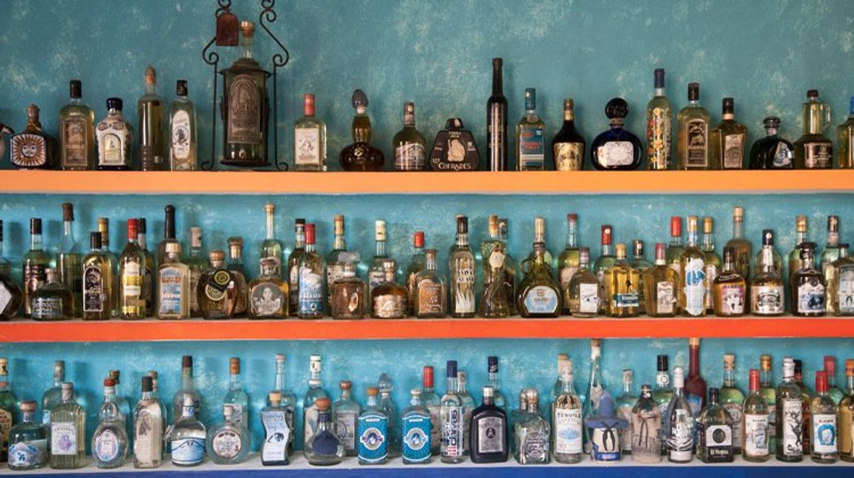 A variety of tequila bottles at a tasting bar