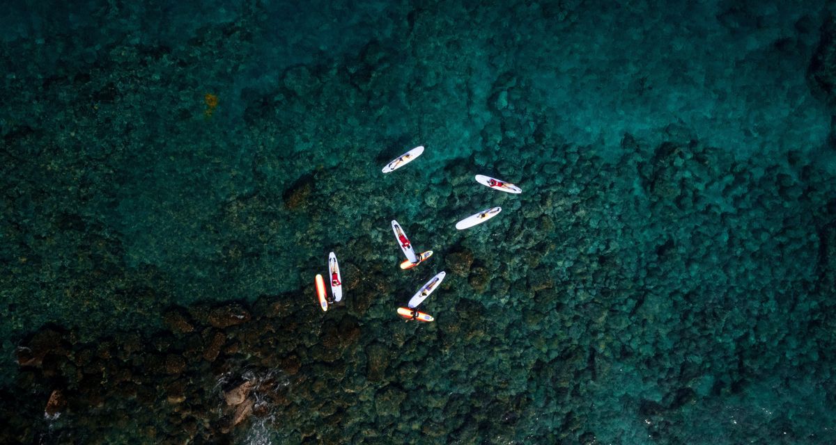 aerial photography of surfers float above Maui coral