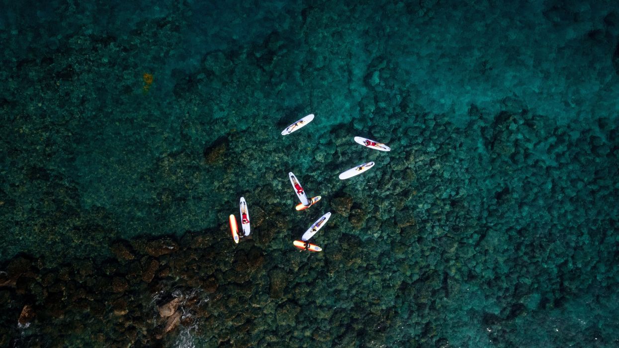 aerial photography of surfers float above Maui coral