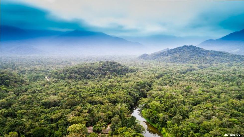 Aerial View of Amazon Rainforest
