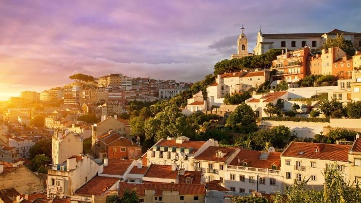 At Long Last, You Can Take a Swallow of Diversity for Portugal from Home
