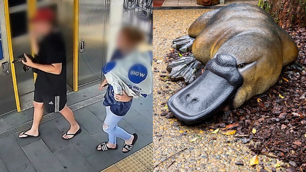 Australian Man Charged After Taking Platypus on Train