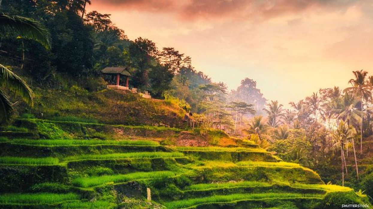 Bali Rice Terraces