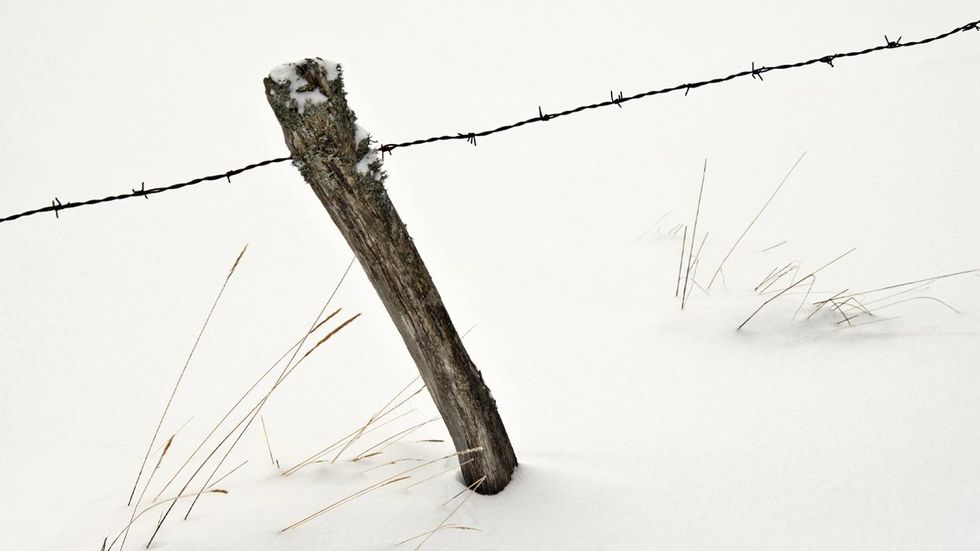 barbed wire fence in snow