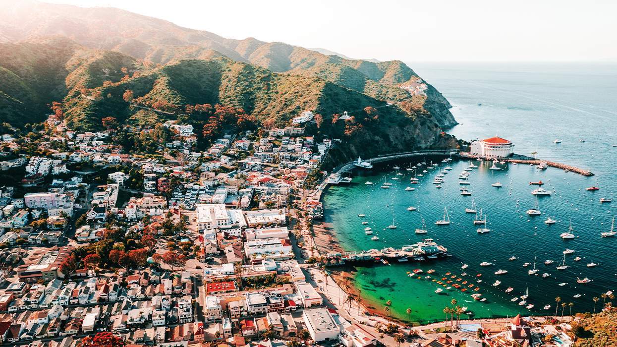 Bird's eye view of Avalon Bay, filled with homes in the foothills, and blue/green waters with sailboats.