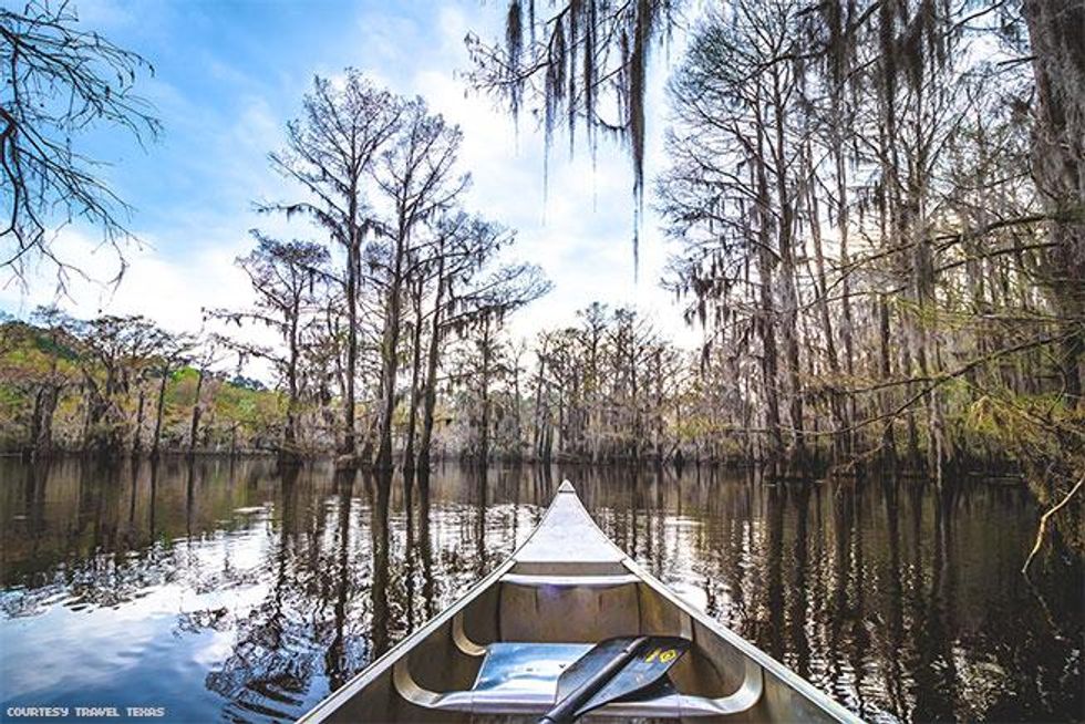 Caddo Lake State Park in Texas