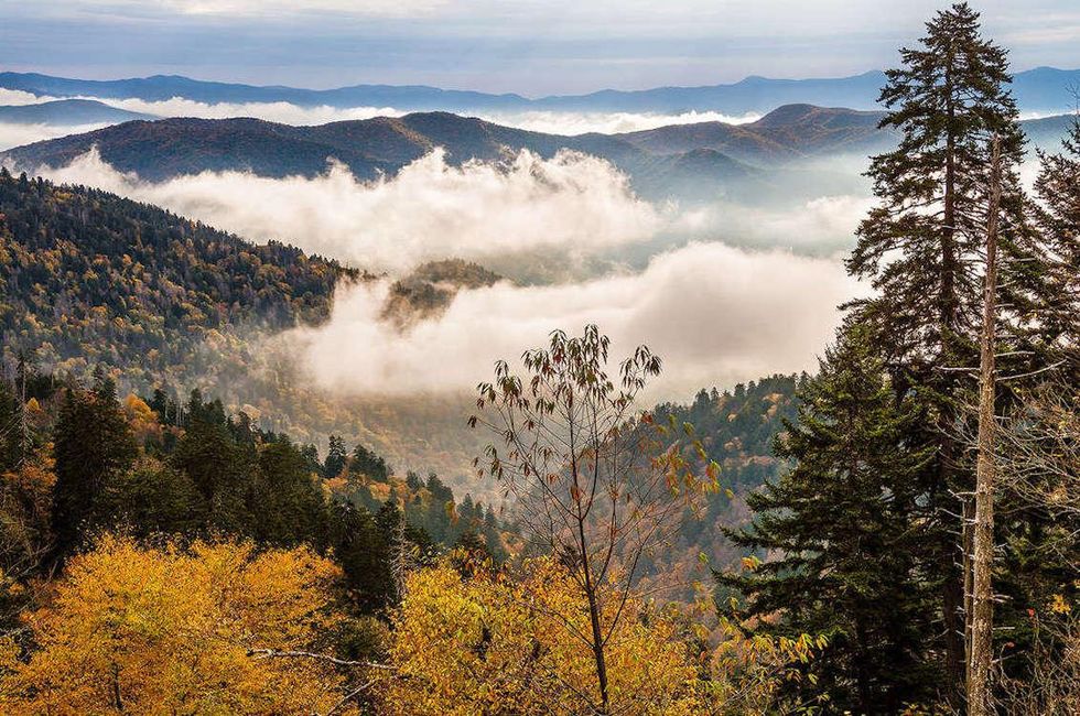 Cade's Cove - Tennessee