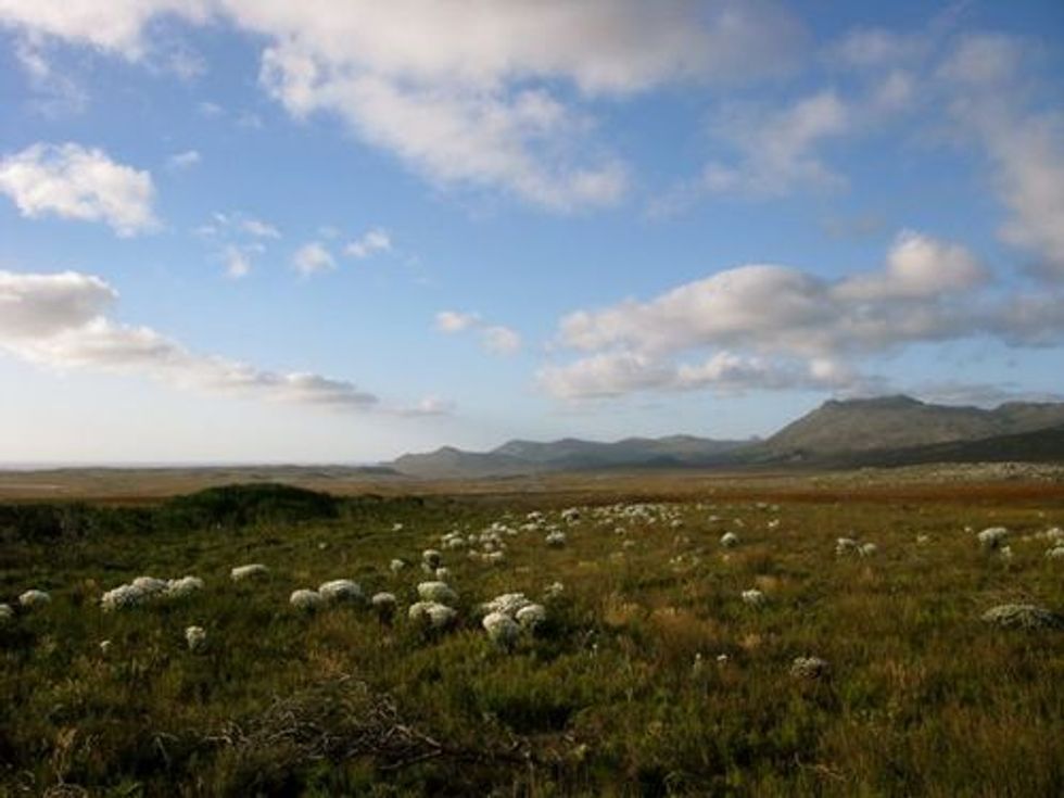 Cape of Good Hope Home on the Range