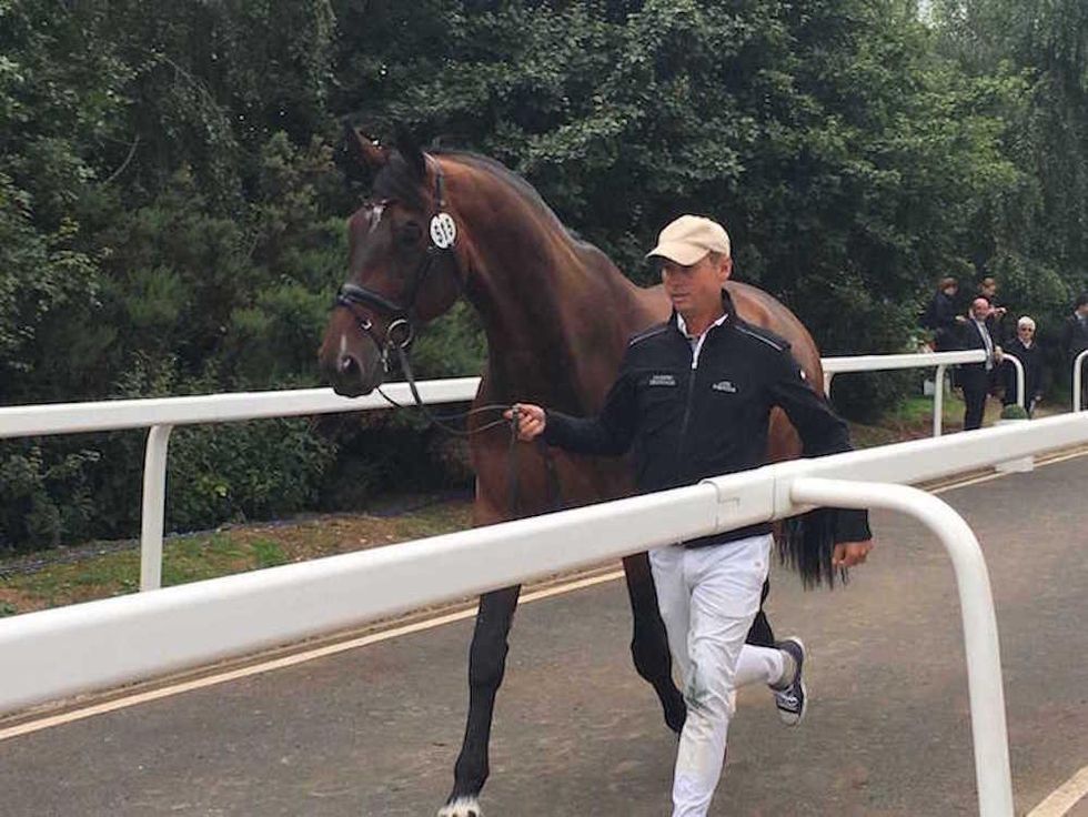 Carl Hester, Great Britain (Equestrian)