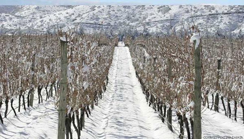 Catena Zapata \u2013 Argentina