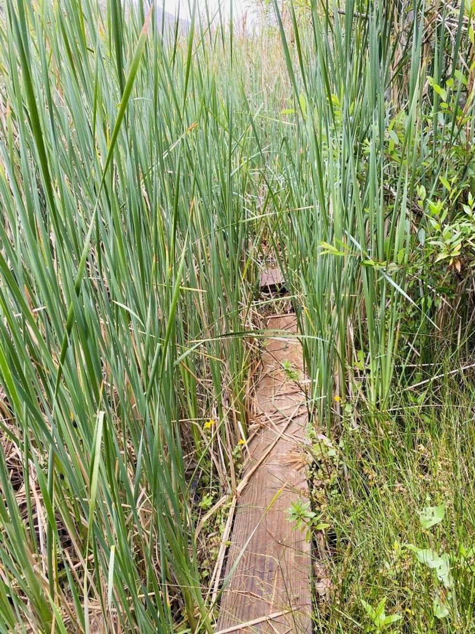 Channel Islands National Park is a (VERY) Wind-Swept Paradise