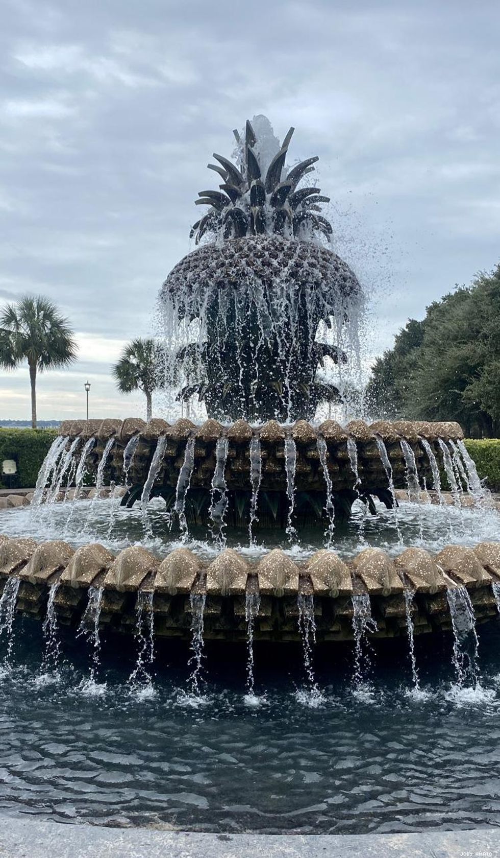 Charleston's pineapple fountain