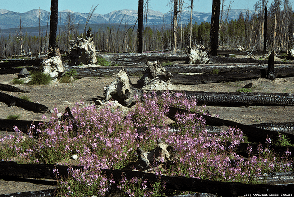 Climate change brings urgency to last chance travel tourism