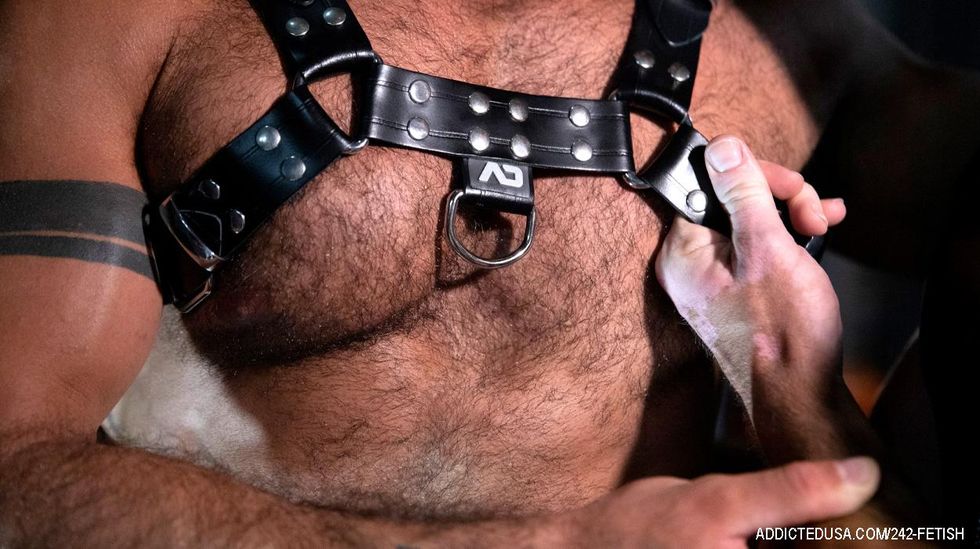 Close up man's naked chest in a leather harness
