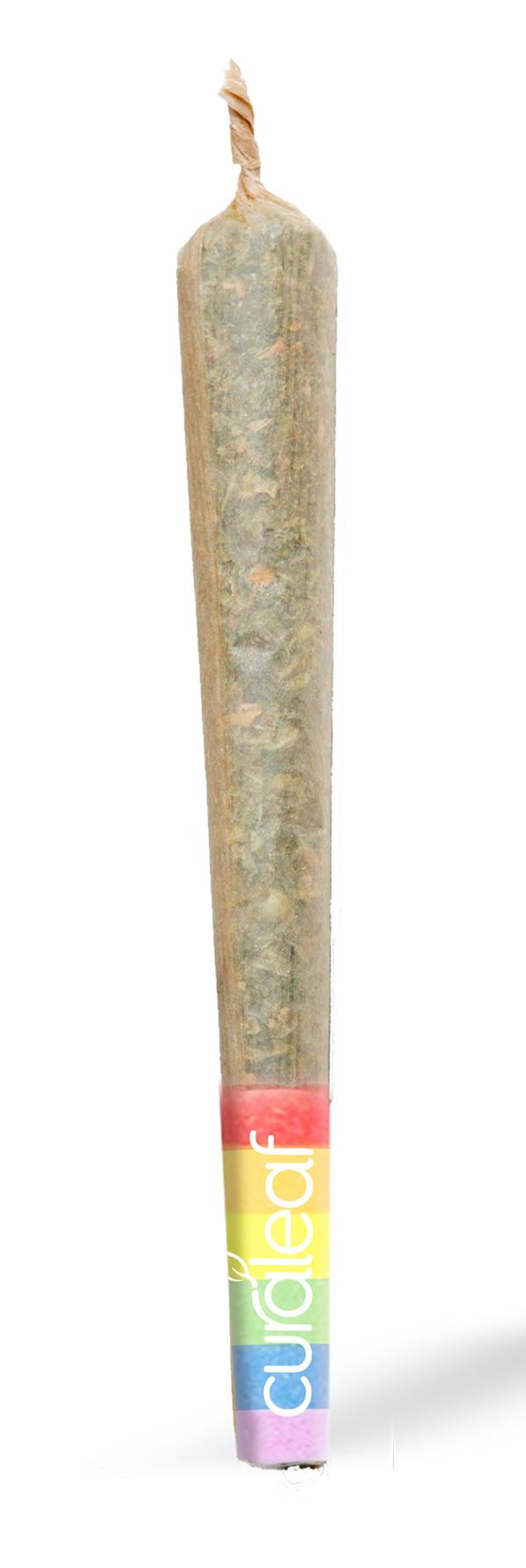 Get High on Life With Pride Themed Cannabis Swag