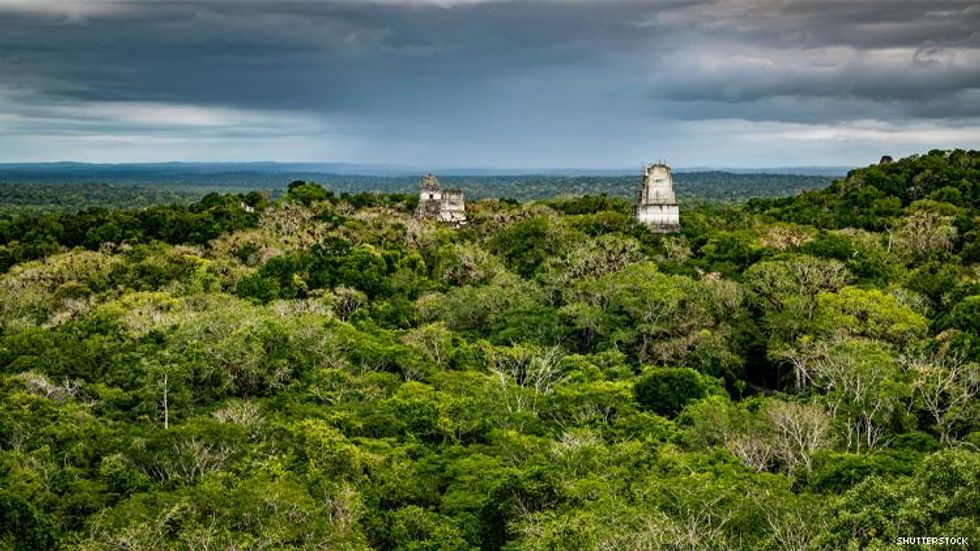 Dense jungle surrounding Tikal archeological site Guatemala