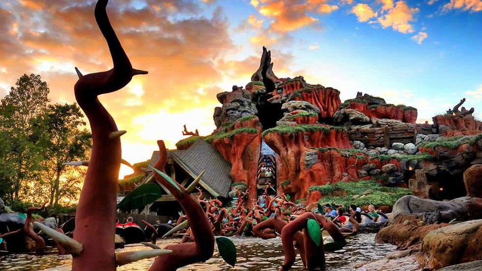 Disney Splash Mountain Fans Fuel Souvenirs Frenzy