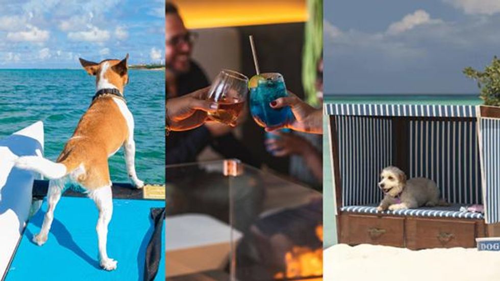 Dog-Friendly Aruba Hotels