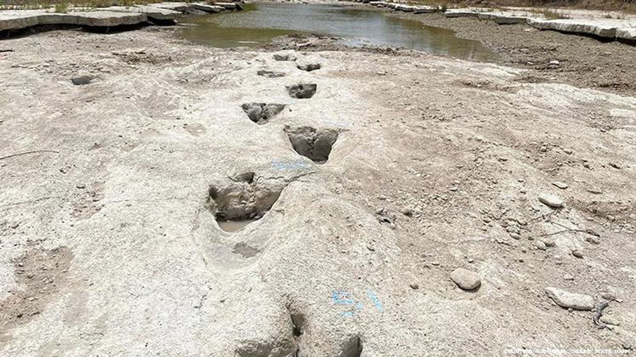 Drought Reveals Ancient Dinosaur Tracks in Texas