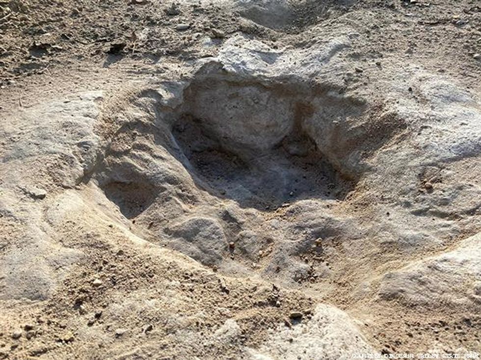 Drought Reveals Ancient Dinosaur Tracks in Texas