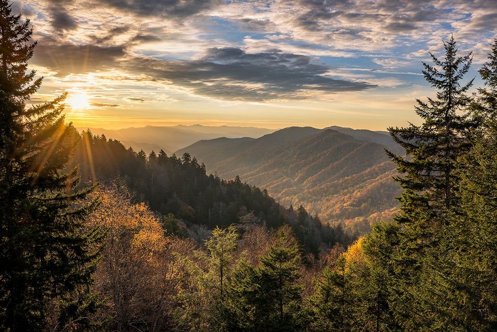 Explore the Outdoors: 15 National Parks Perfect for Hiking - Great Smoky Mountains National Park