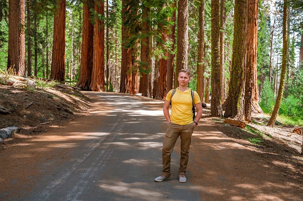 Explore the Outdoors: 15 National Parks Perfect for Hiking - Sequoia National Park
