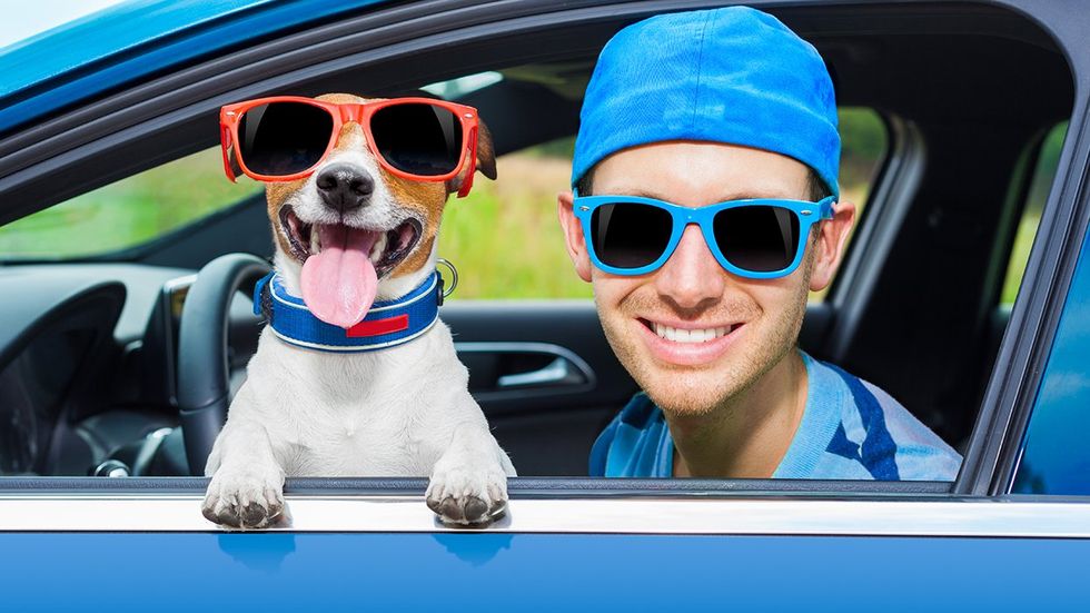 Florida’s New ‘Don’t Say Dogs in Car Windows’ Bill Raises Hackles