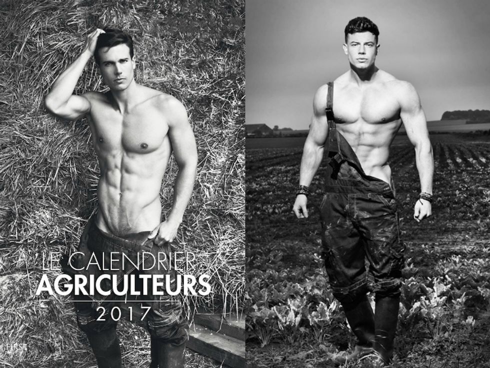 French Farmers Embed