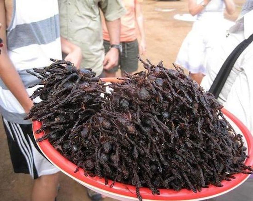 Friend Tarantula, Cambodia