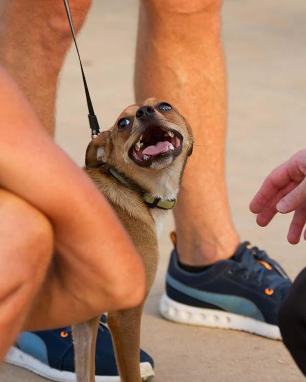 Gay Softball World Series