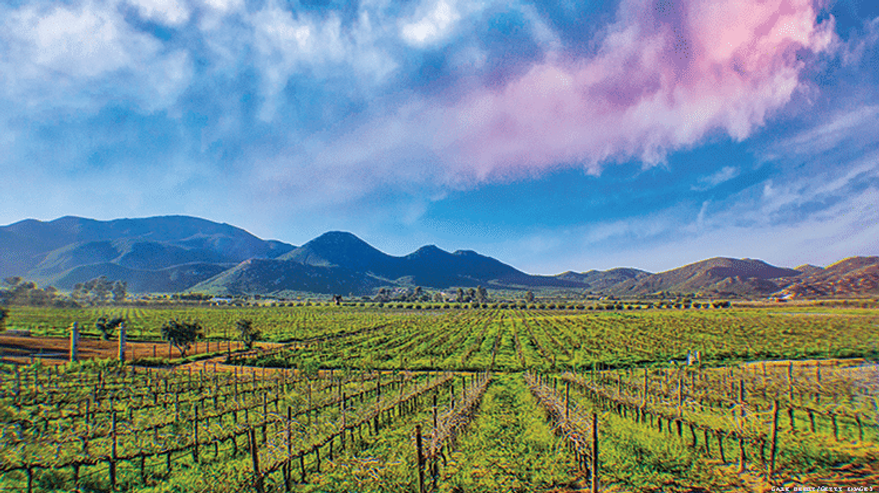Global dining, world-class wine, and architecturally driven hotels await LGBTQ+ travelers in the Valle de Guadalupe.