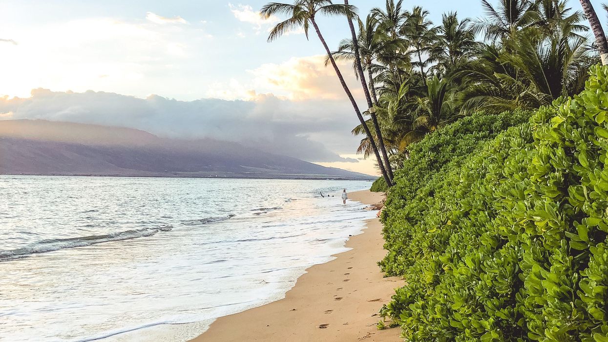 Hawaii Beach