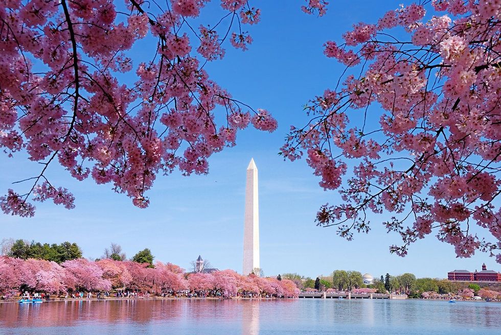 Here are the 15 gayest cities in the world for 2024. 6. Washington D.C. \u2013 USA