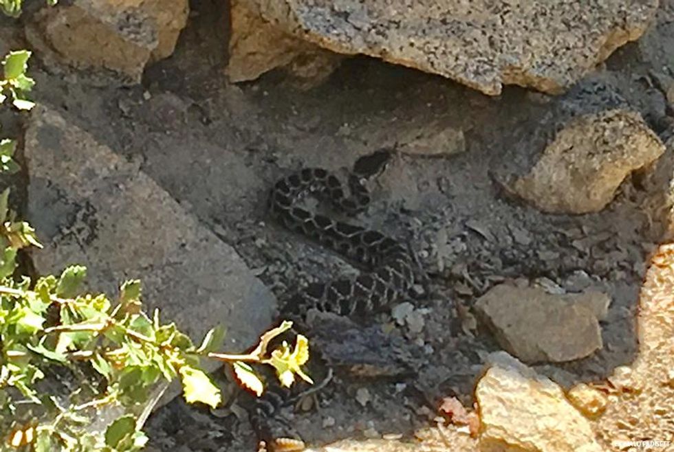 Idyllwild -- The Alpine Wonderland Above Palm Springs is a Backpacking Dream