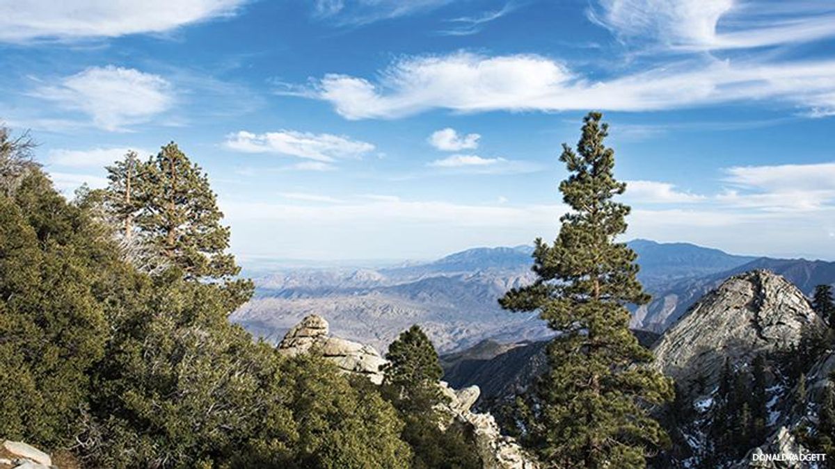 Idyllwild -- The Alpine Wonderland Above Palm Springs is a Backpacking Dream
