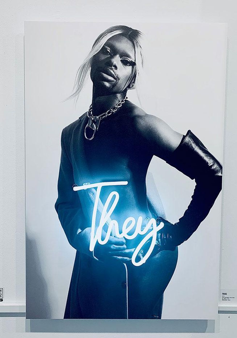 Illuminated: A Lens on Gender