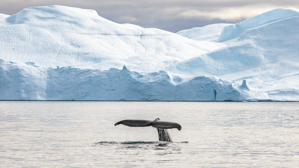 Ilulissat, Greenland