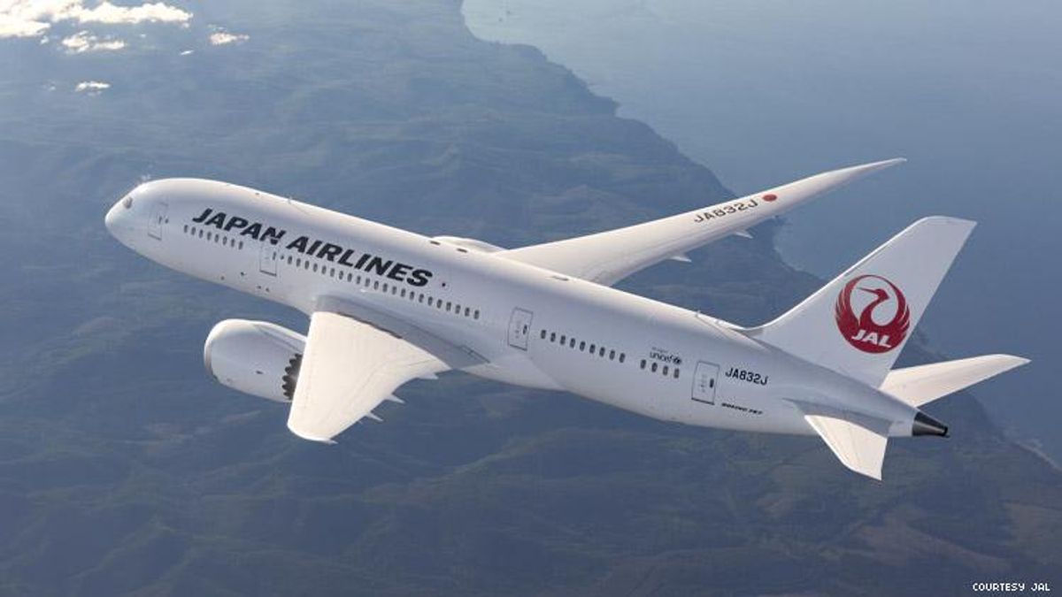 Image of a Japan Airlines jet from above