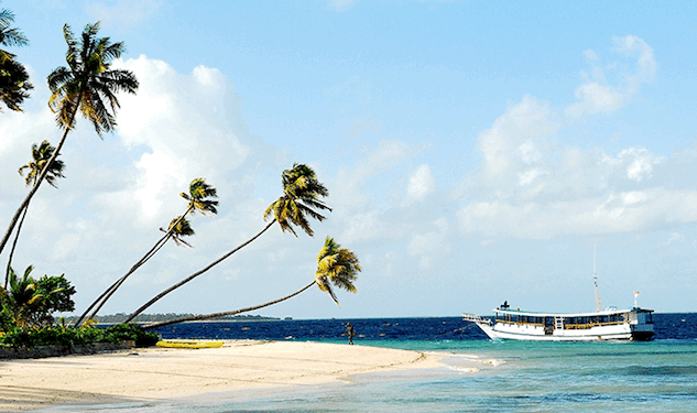 Could You Be Honeymooning in Ecuador Soon?