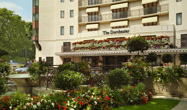 Global Protest on Friday: 'Don't Sleep With The Sultan'