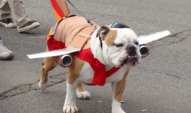 Dog Defecation Diverts LA to Philly Flight