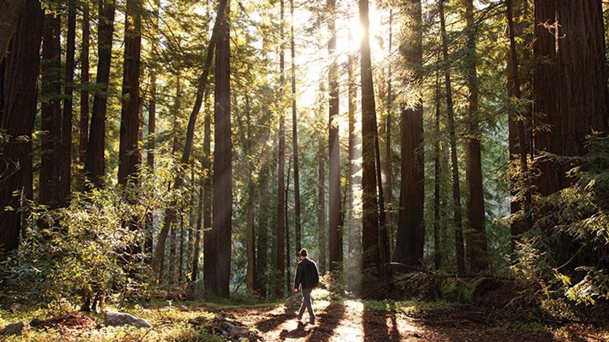 Hiking the NorCal Coast