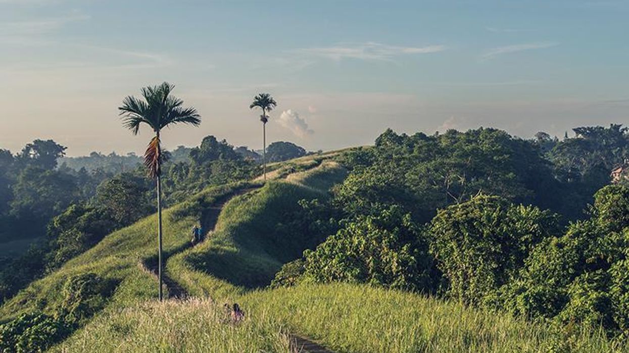 Bali High is the Perfect New-Year Palate Cleanser