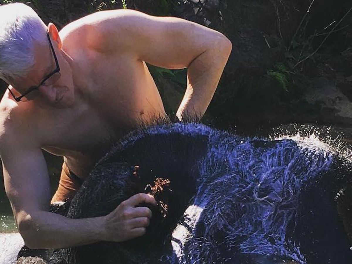 Anderson Cooper Washes Elephant in Burma, Saves Christmas 