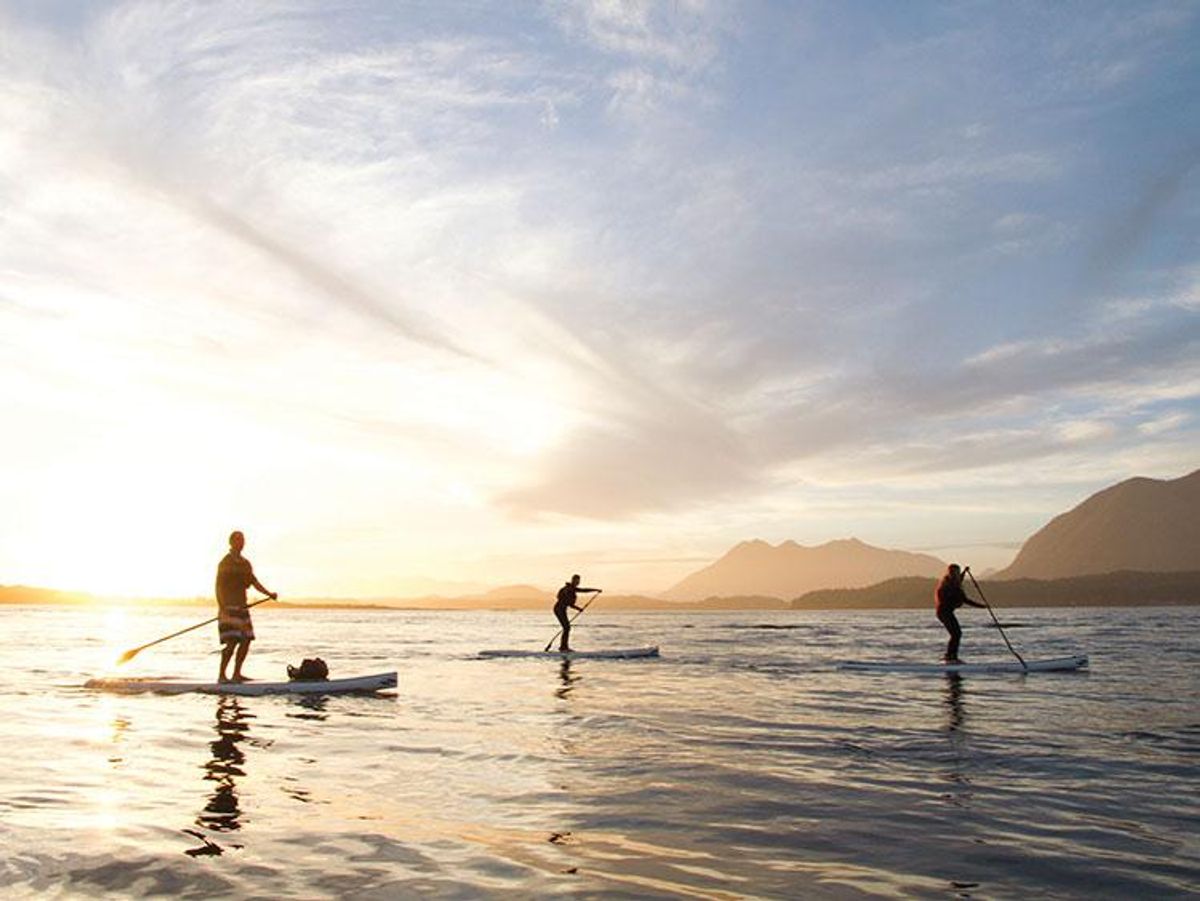 The Ultimate Guide to Vancouver Island